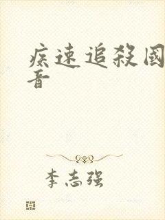 疾速追杀国语配音