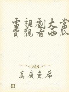 电视剧大当家免费观看西瓜