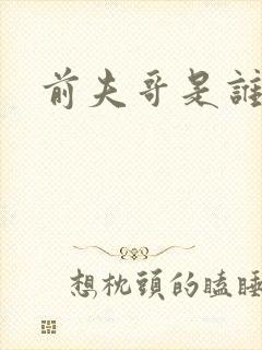 前夫哥是谁