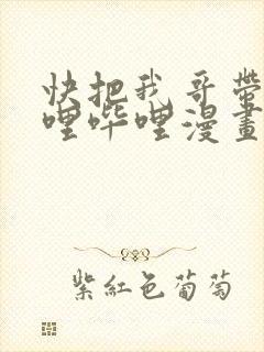 快把我哥带走哔哩哔哩漫画
