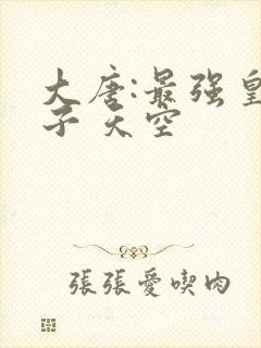 大唐:最强皇太子 天空