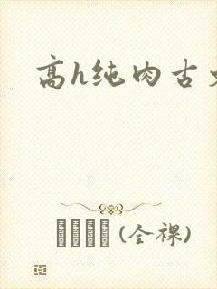 高h纯肉古文