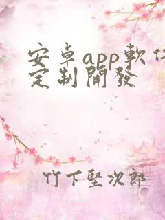 安卓app软件定制开发