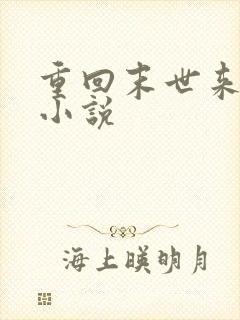 重回末世来临前小说