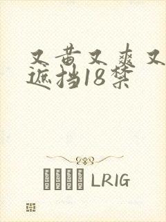 又黄又爽又色无遮挡18禁
