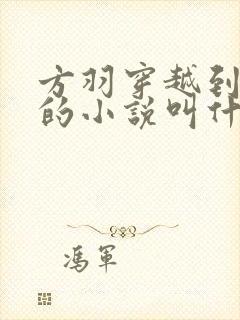 方羽穿越到亮剑的小说叫什么