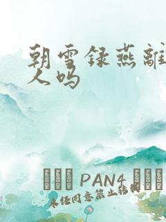 朝雪录燕离是好人吗