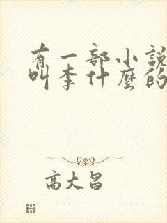 有一部小说主角叫李什么的