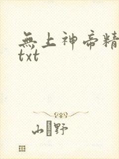 无上神帝精校版txt