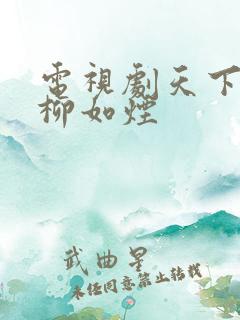 电视剧天下第一柳如烟