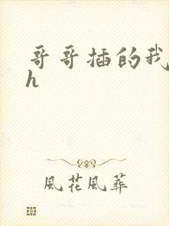 哥哥插的我好爽h