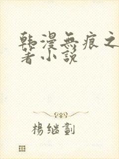 韩漫无痕之夜原著小说