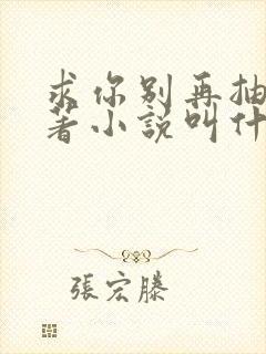 求你别再抽了原著小说叫什么