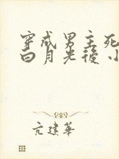 穿成男主死去的白月光后 小说