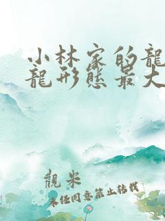 小林家的龙女仆龙形态最大的角色