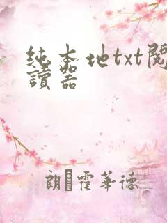 纯本地txt阅读器