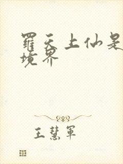 罗天上仙是什么境界