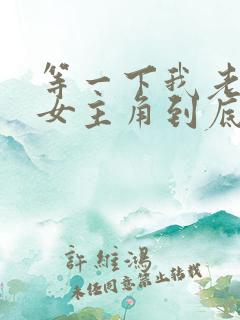 等一下我老公呢女主角到底是谁