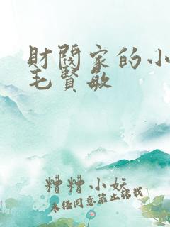 财阀家的小儿子毛贤敏