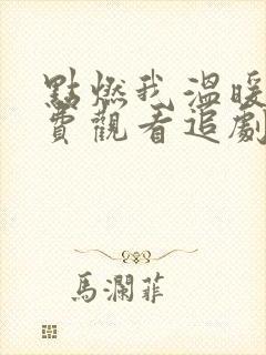 点燃我温暖你免费观看追剧网