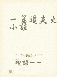 一篇追夫火葬场小说