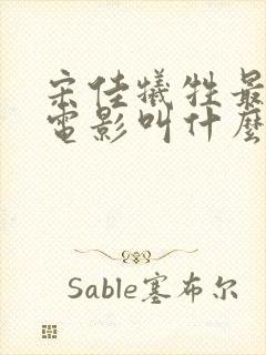 宋佳牺牲最大的电影叫什么