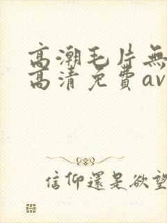 高潮毛片无遮挡高清免费av