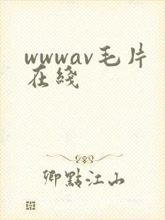 wwwav毛片在线
