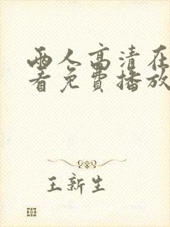 两人高清在线观看免费播放电视剧