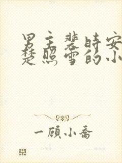 男主裴时安女主楚照雪的小说