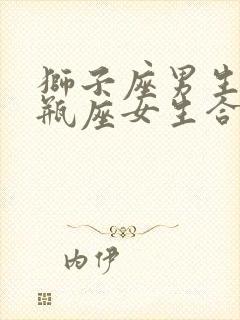 狮子座男生和水瓶座女生合适吗