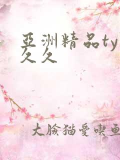 亚洲精品ty久久久