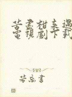 苦尽柑来遇见你电视剧下载免费观看