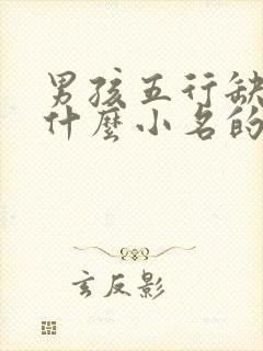 男孩五行缺木叫什么小名的