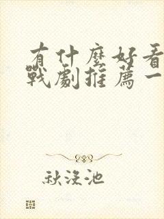 有什么好看的谍战剧推荐一下