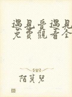 遇见爱遇见幸福免费观看全集