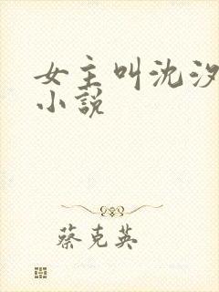 女主叫沈汐月的小说