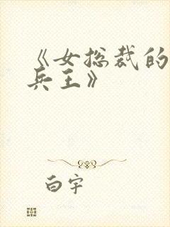 《女总裁的贴身兵王》