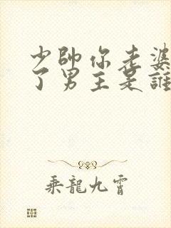 少帅你老婆又跑了男主是谁