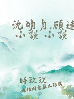 沈明月,顾远舟 小说 小说