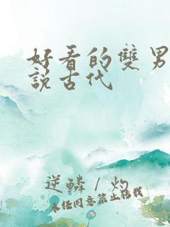 好看的双男主小说古代