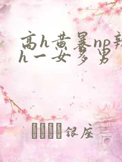 高h黄暴np辣h一女多男