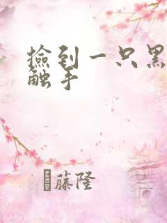 捡到一只黑心小触手