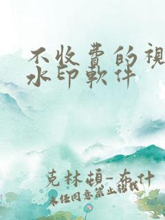 不收费的视频去水印软件