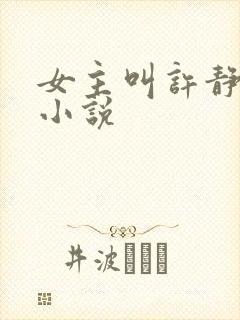 女主叫许静宜的小说