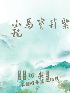 小马宝莉紫悦穗龙