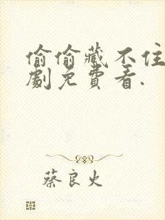 偷偷藏不住电视剧免费看.