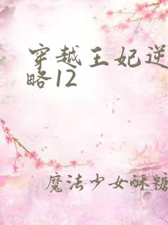 穿越王妃逆袭攻略12