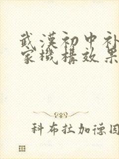 武汉初中补课哪家机构效果好