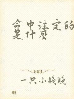 命中注定的结局是什么